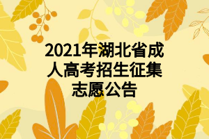 2021年湖北省成人高考招生征集志愿公告