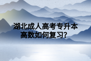 湖北成人高考专升本高数如何复习？