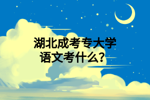 湖北成考专大学语文考什么？