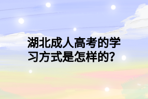 湖北成人高考的学习方式是怎样的？