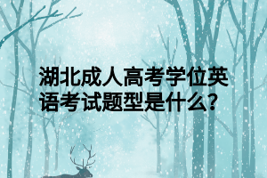 湖北成人高考学位英语考试题型是什么？