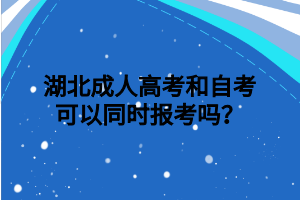 湖北成人高考和自考可以同时报考吗？