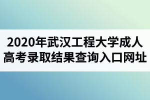 2020年武汉工程大学成人高考录取结果查询入口网址