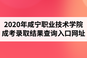 2020年咸宁职业技术学院成人高考录取结果查询入口网址