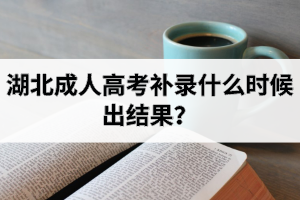 湖北成考补录什么时候出结果？