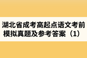 湖北省成人高考高起点语文考前模拟真题及参考答案（1）