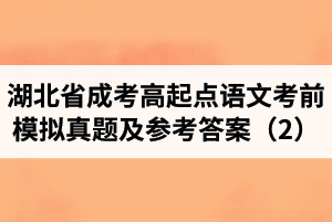 湖北省成人高考高起点语文考前模拟真题及参考答案（2）