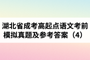 湖北省成考高起点语文考前模拟真题及参考答案（4） ? ?
