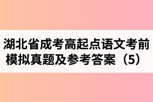 湖北省成人高考高起点语文考前模拟真题及参考答案（5）