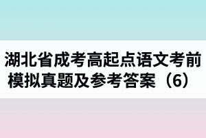 湖北省成人高考高起点语文考前模拟真题及参考答案（6）