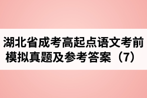 湖北省成人高考高起点语文考前模拟真题及参考答案（7）