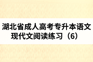 湖北省成人高考专升本语文现代文阅读练习（6）