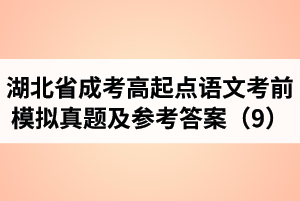湖北省成人高考高起点语文考前模拟真题及参考答案（9）