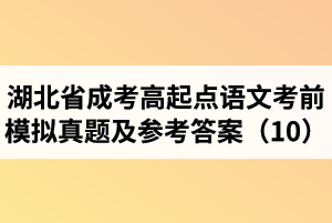 湖北省成人高考高起点语文考前模拟真题及参考答案（10）