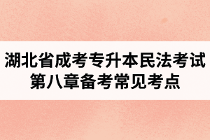 湖北省成人高考专升本民法考试第八章备考常见考点与知识点