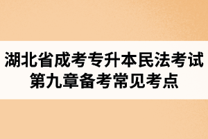 湖北省成人高考专升本民法考试第九章备考常见考点与知识点