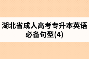 湖北省成人高考专升本英语必备句型(4)