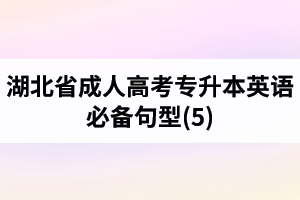 湖北省成人高考专升本英语必备句型(5)