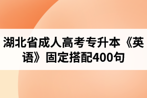 湖北省成人高考专升本《英语》固定搭配400句