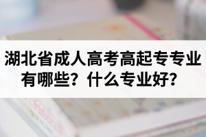 湖北省成人高考高起专专业有哪些？什么专业好？