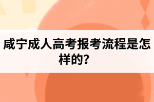 咸宁成人高考报考流程是怎样的？