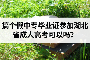 搞个假中专毕业证参加湖北省成人高考可以吗？