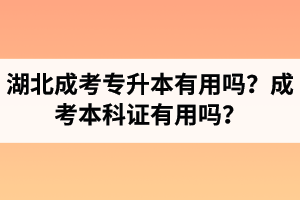 湖北省成人高考专升本有用吗？成考本科证有用吗？