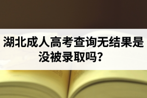 湖北成考查询无结果是没被录取吗？查询显示你尚未被录取啥意思？