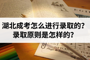 湖北成考是怎么进行录取的？录取原则是怎样的？