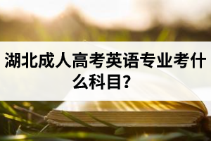 湖北成人高考英语专业考什么科目？