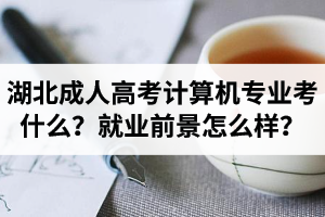 湖北成人高考计算机专业考什么？就业前景怎么样？