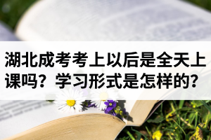 湖北省成人高考考上以后是全天上课吗？学习形式是怎样的？