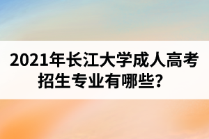 2021年长江大学成人高考招生专业有哪些？
