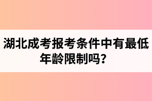 湖北成考报考条件中有最低年龄限制吗？