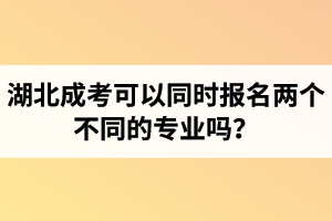 湖北成考可以同时报名两个不同的专业吗？