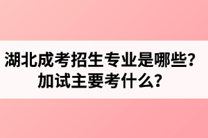 湖北成考有加试的招生专业是哪些？加试主要考什么？需要自带考试用品吗？