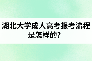 湖北大学成人高考报考流程是怎样的？