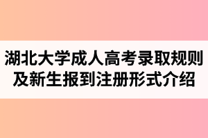 湖北大学成人高考录取规则及新生报到注册形式介绍