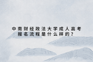 中南财经政法大学成人高考报名流程是什么样的？