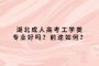 湖北成人高考工学类专业好吗？前途如何？