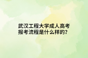 武汉工程大学成人高考报考流程是什么样的？