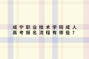 咸宁职业技术学院成人高考报名流程有哪些？