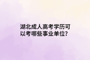 湖北成人高考学历可以考哪些事业单位？