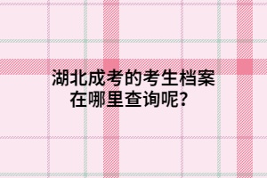 湖北成考的考生档案在哪里查询呢？