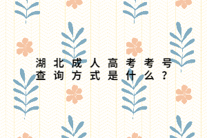 湖北成人高考考号查询方式是什么？