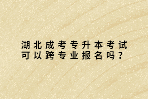 湖北成考专升本考试可以跨专业报名吗？