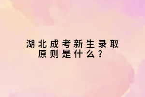 湖北成考新生录取原则是什么？