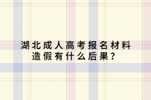 湖北成人高考报名材料造假有什么后果？