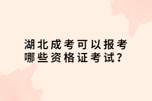 湖北成考可以报考哪些资格证考试？