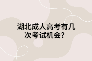 湖北成人高考有几次考试机会？